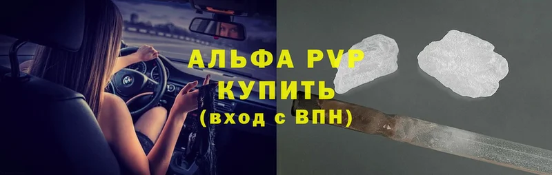 A PVP СК  Бийск 